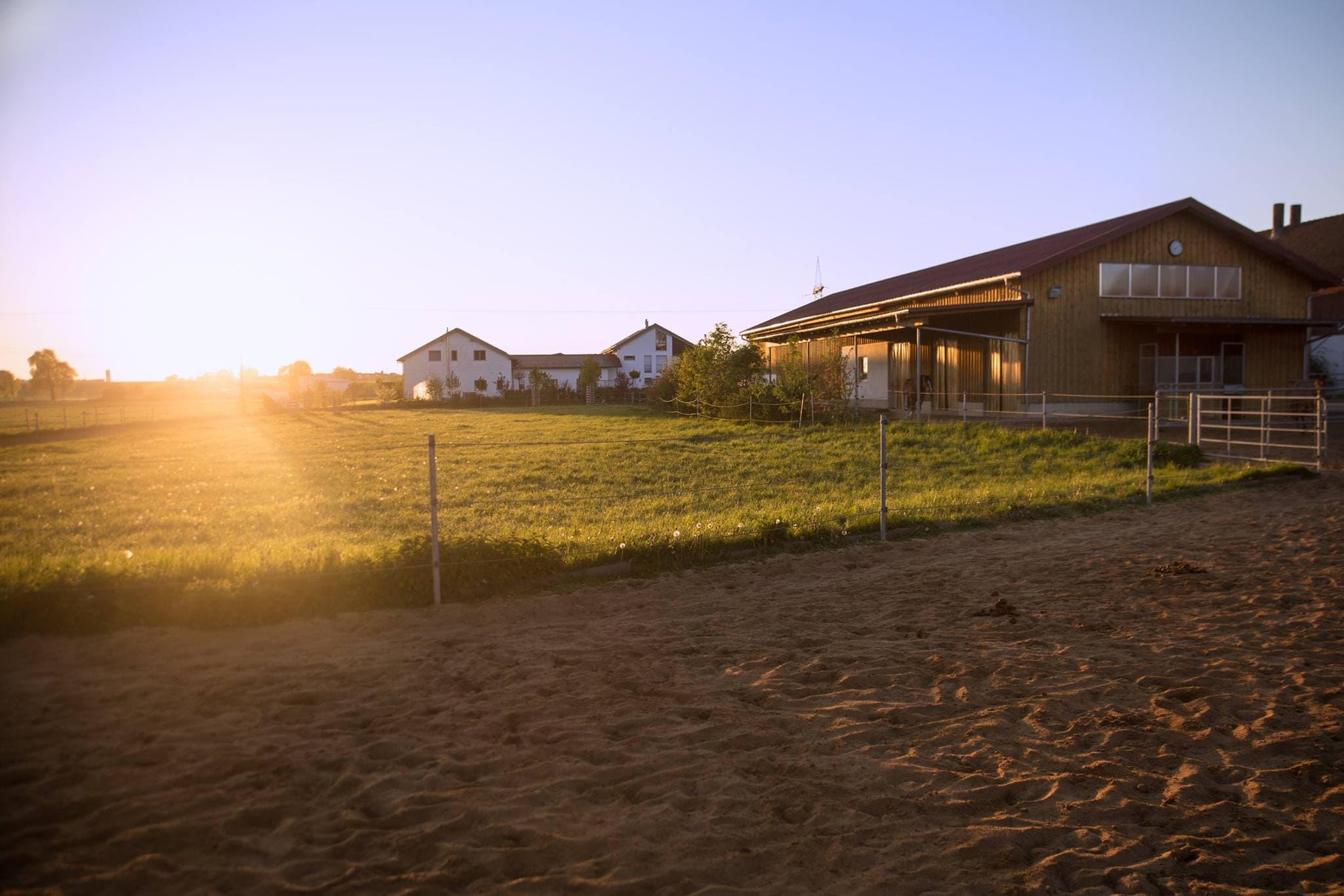 Hofladen Kratzer: Pferdepension