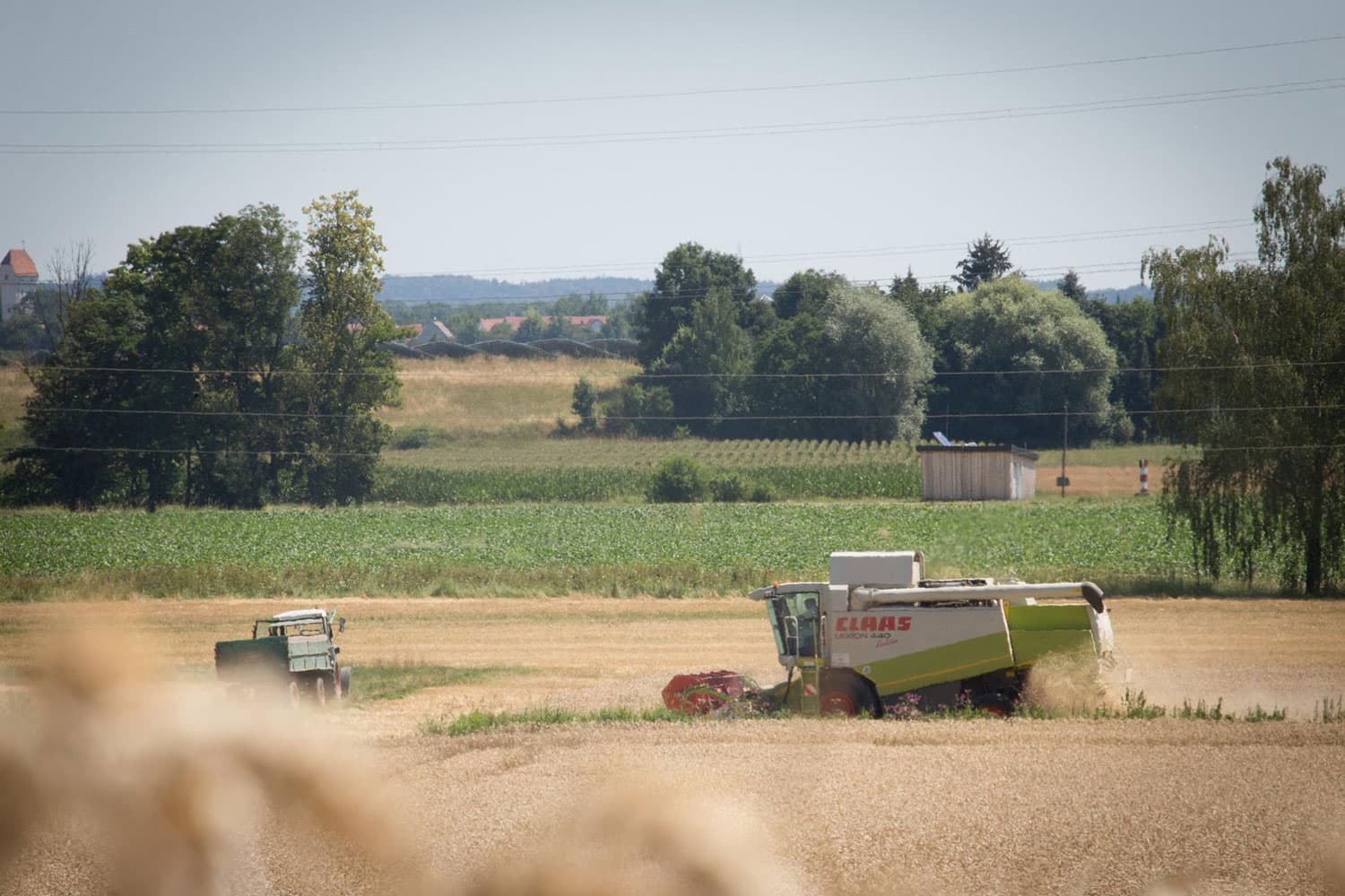 Hofladen Kratzer - Weizenernte